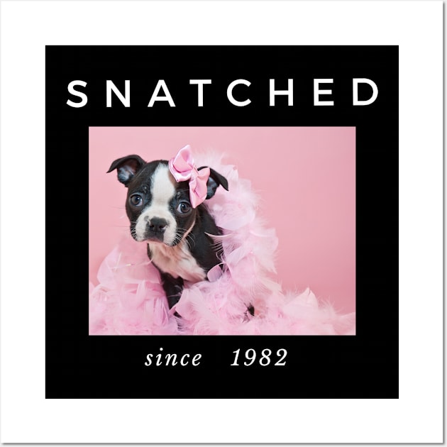 1982 Millennial Snatched Boston Terrier Dog Lover Wall Art by familycuteycom